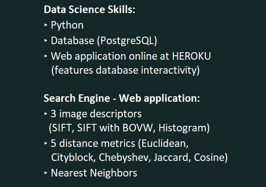 Image Search Web App with PostgreSQL - Multimedia Database Application